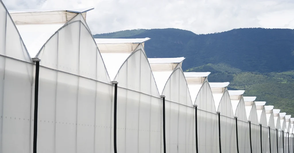 Plástico para invernadero industrial